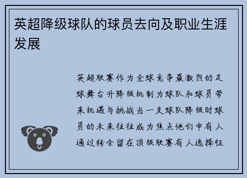 英超降级球队的球员去向及职业生涯发展